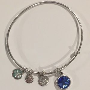 COPY - 🦚  2 / $10  Alex and Ani Sapphire Sept Birthstone Bracelet